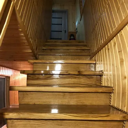 招待所 карпатська ніч Plave
