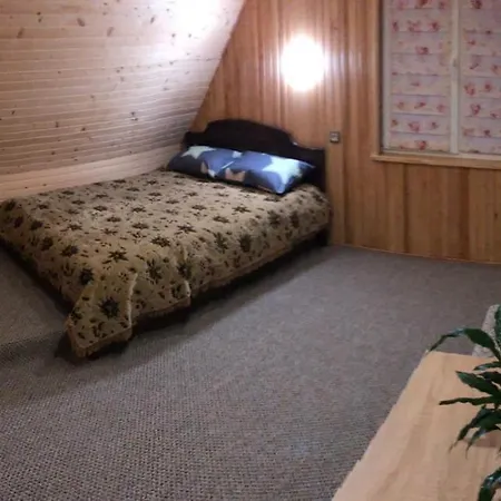 招待所 карпатська ніч Plave