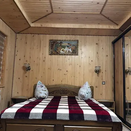 карпатська ніч