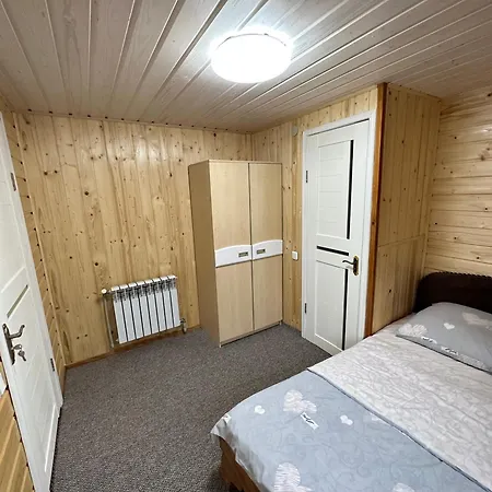 карпатська ніч