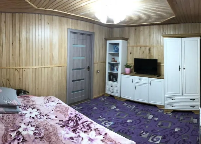Vendégház карпатська ніч Plavja
