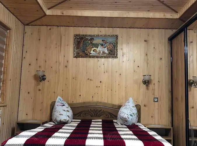 карпатська ніч
